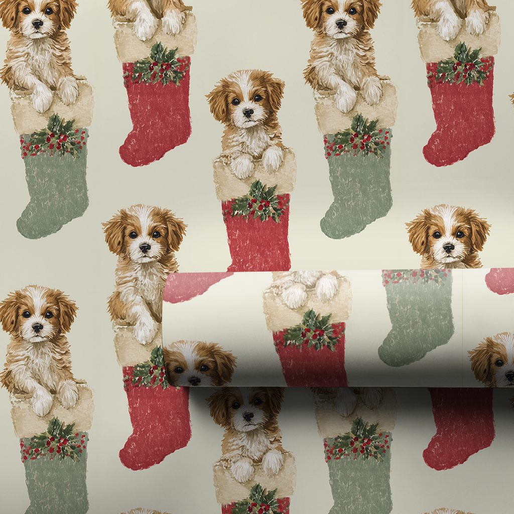Stockings Stuffed with Cavapoos