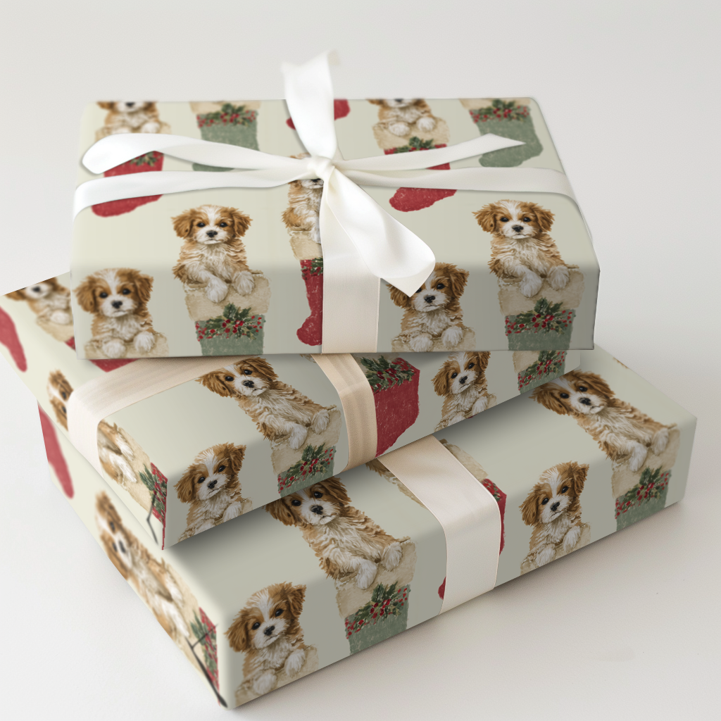 Stockings Stuffed with Cavapoos