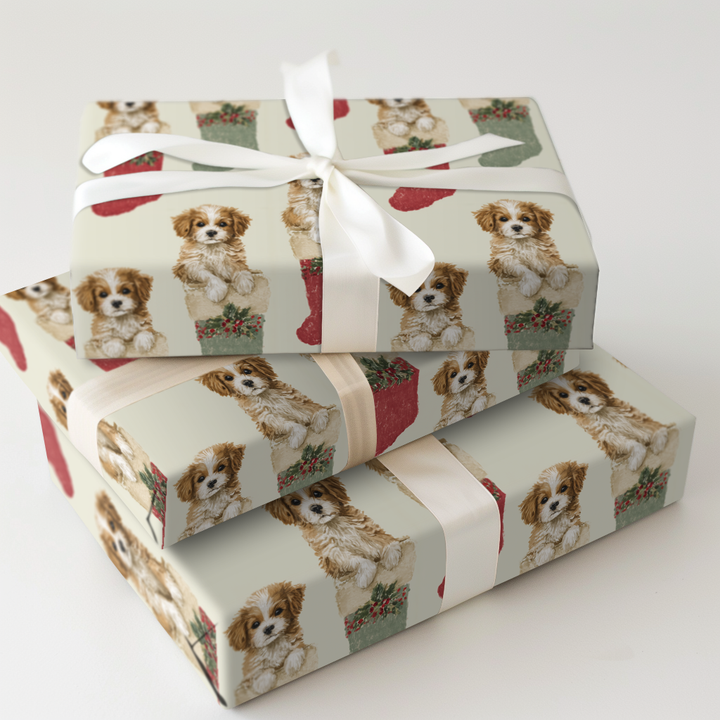 Stockings Stuffed with Cavapoos