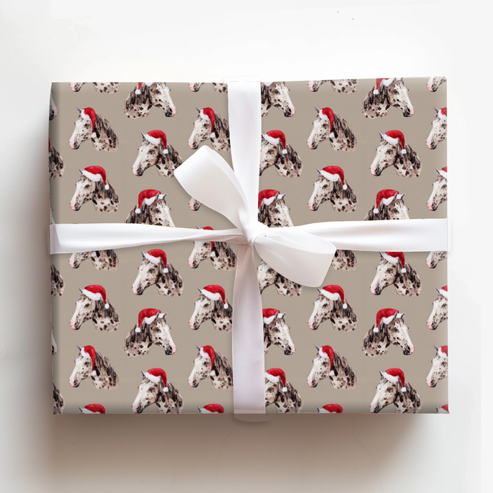 Appaloosa Santa Portraits