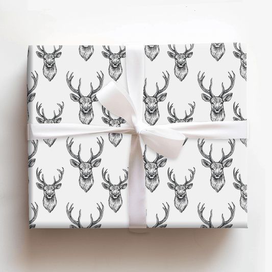 Born to Roam - Wrapping Paper - Aspen & Arlo