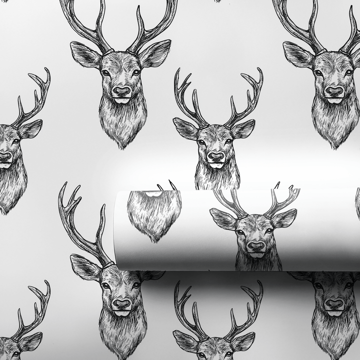 Born to Roam - Wrapping Paper - Aspen & Arlo