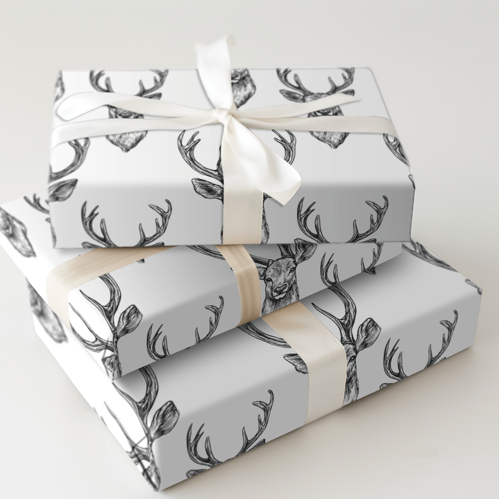 Born to Roam - Wrapping Paper - Aspen & Arlo