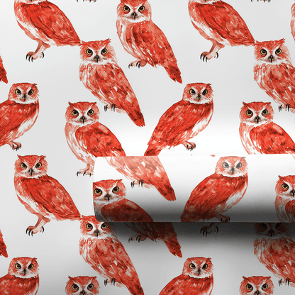Hoot Red - Wrapping Paper - Aspen & Arlo