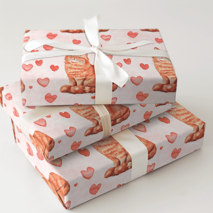 Persian Longhair Valentine - Wrapping Paper - Aspen & Arlo