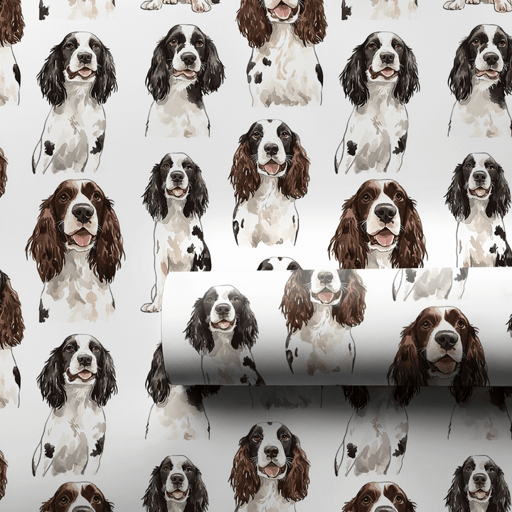 Springer Spaniel - Wrapping Paper - Aspen & Arlo
