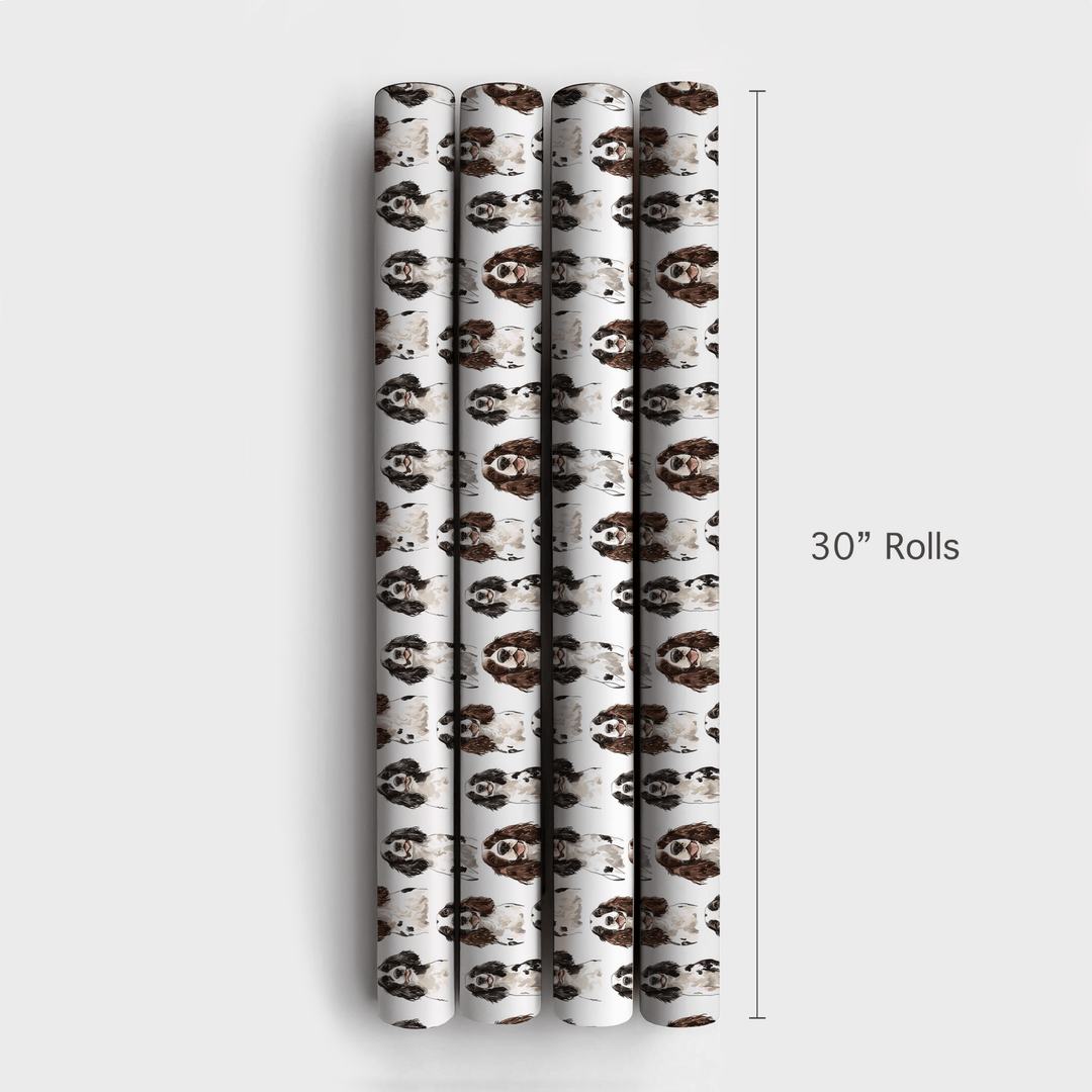Springer Spaniel - Wrapping Paper - Aspen & Arlo