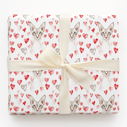 Oriental Shorthair Valentine - Wrapping Paper - Aspen & Arlo