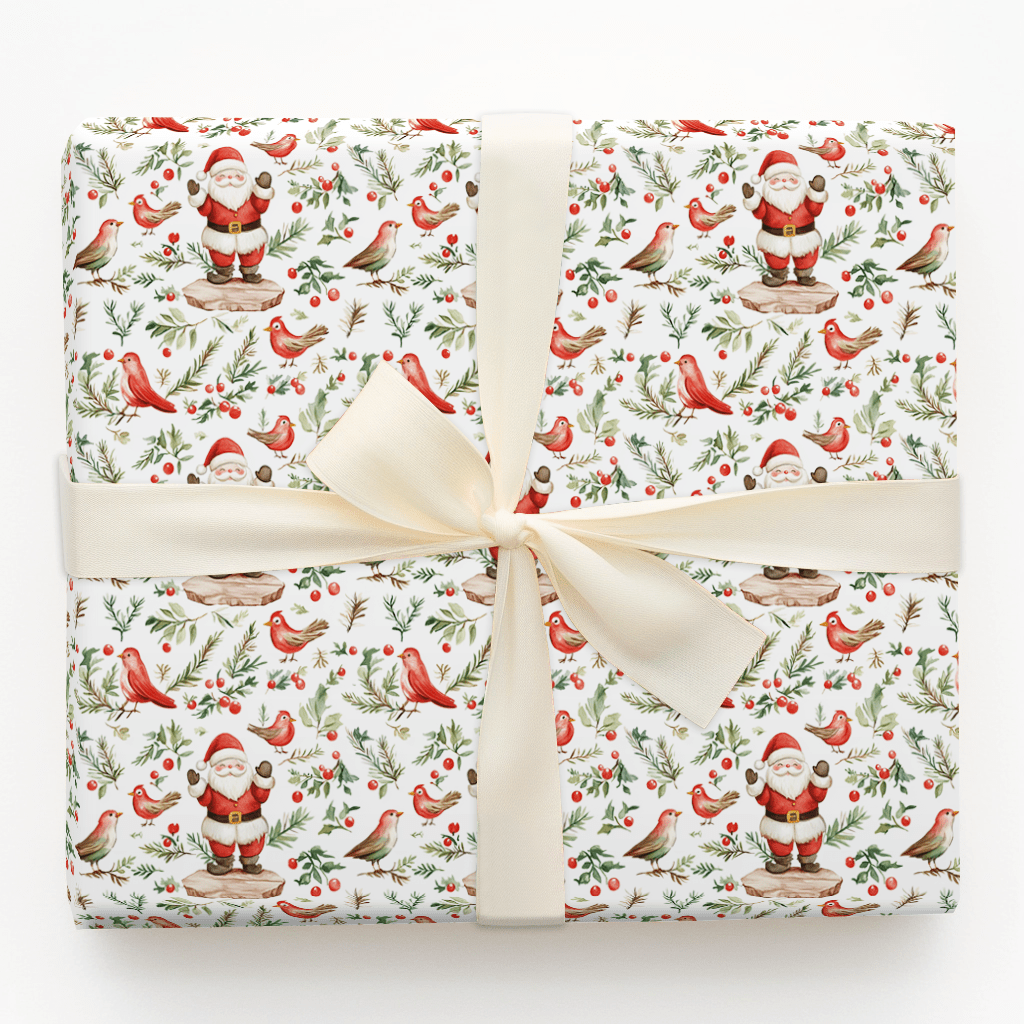 Santa for the Birds - Wrapping Paper - Aspen & Arlo