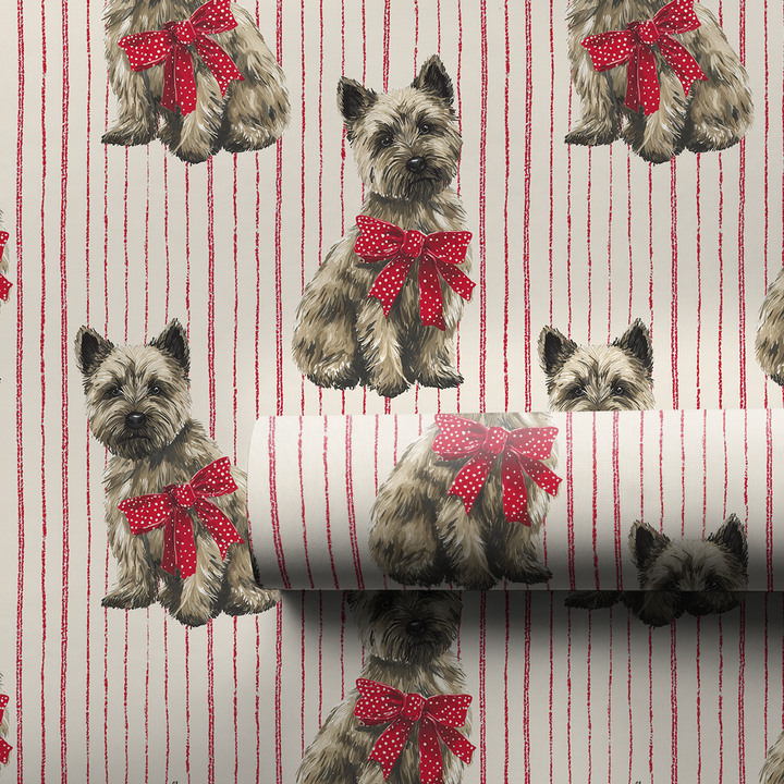 Cairns in a Christmas Bow