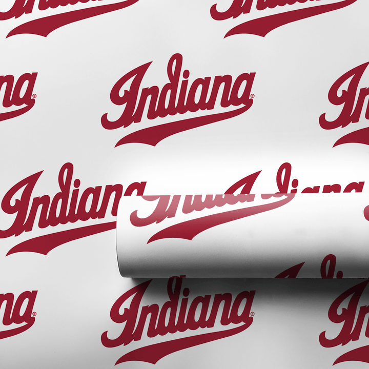 Indiana Swoop - Wrapping Paper - Aspen & Arlo