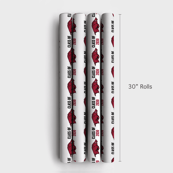 Class of 2030 Arkansas - Wrapping Paper - Aspen & Arlo