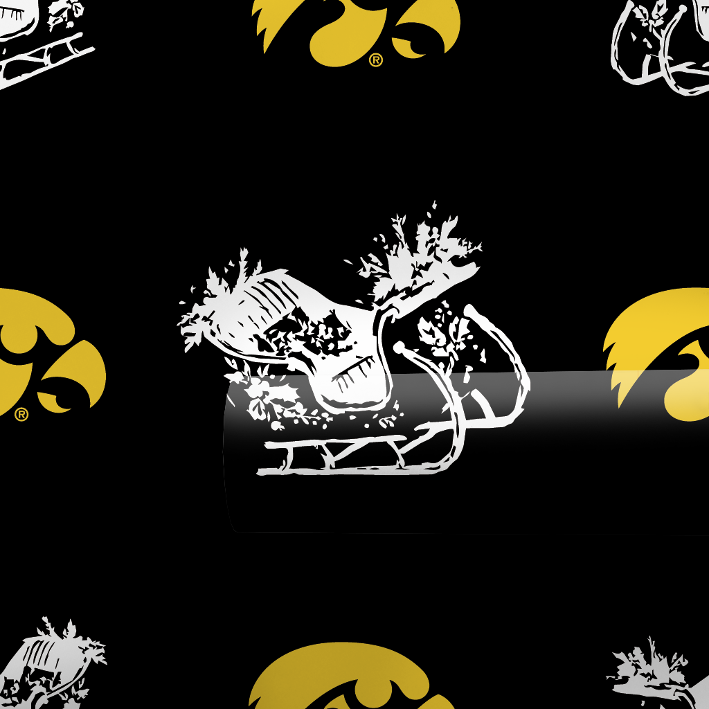 Sleigh Hawks