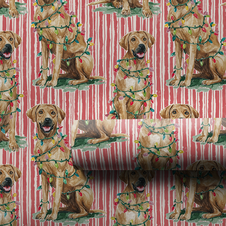 Tangled Up Ridgeback