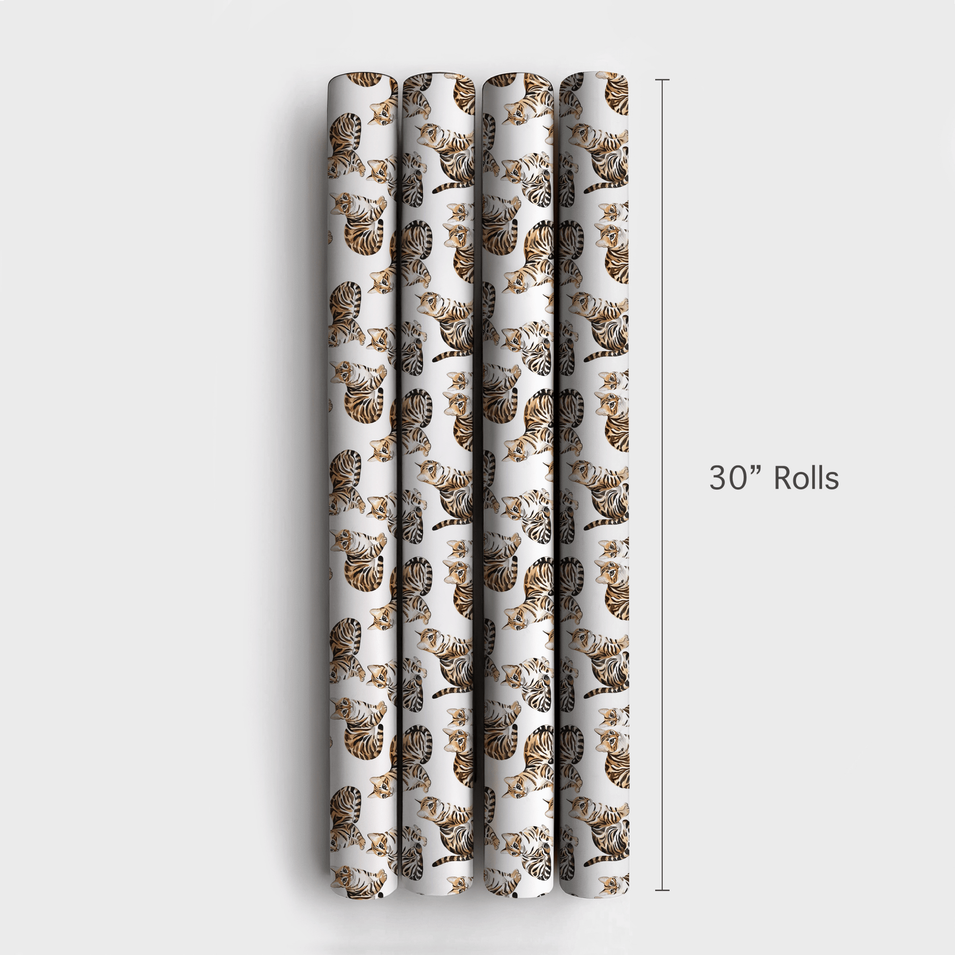 Quincy Bengal - Wrapping Paper - Aspen & Arlo