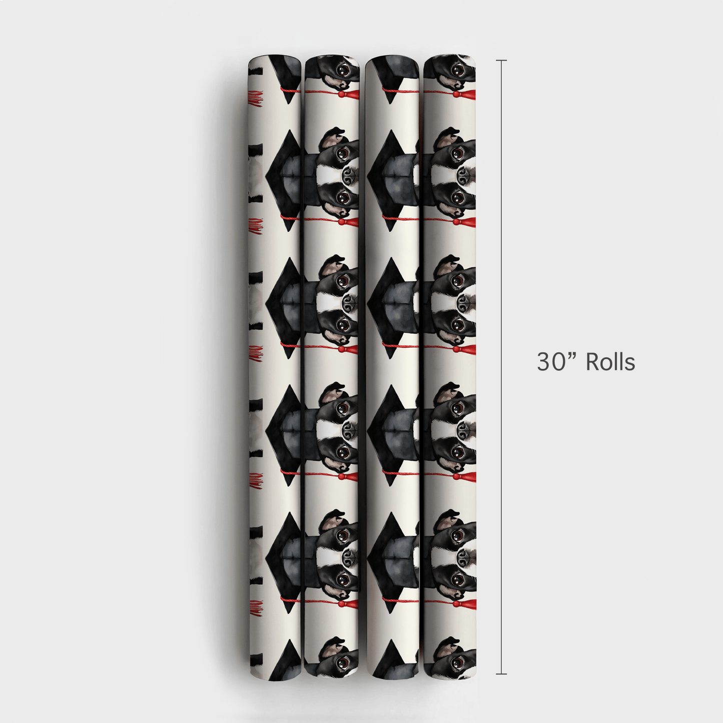 Boston Terrier Graduate - Wrapping Paper - Aspen & Arlo