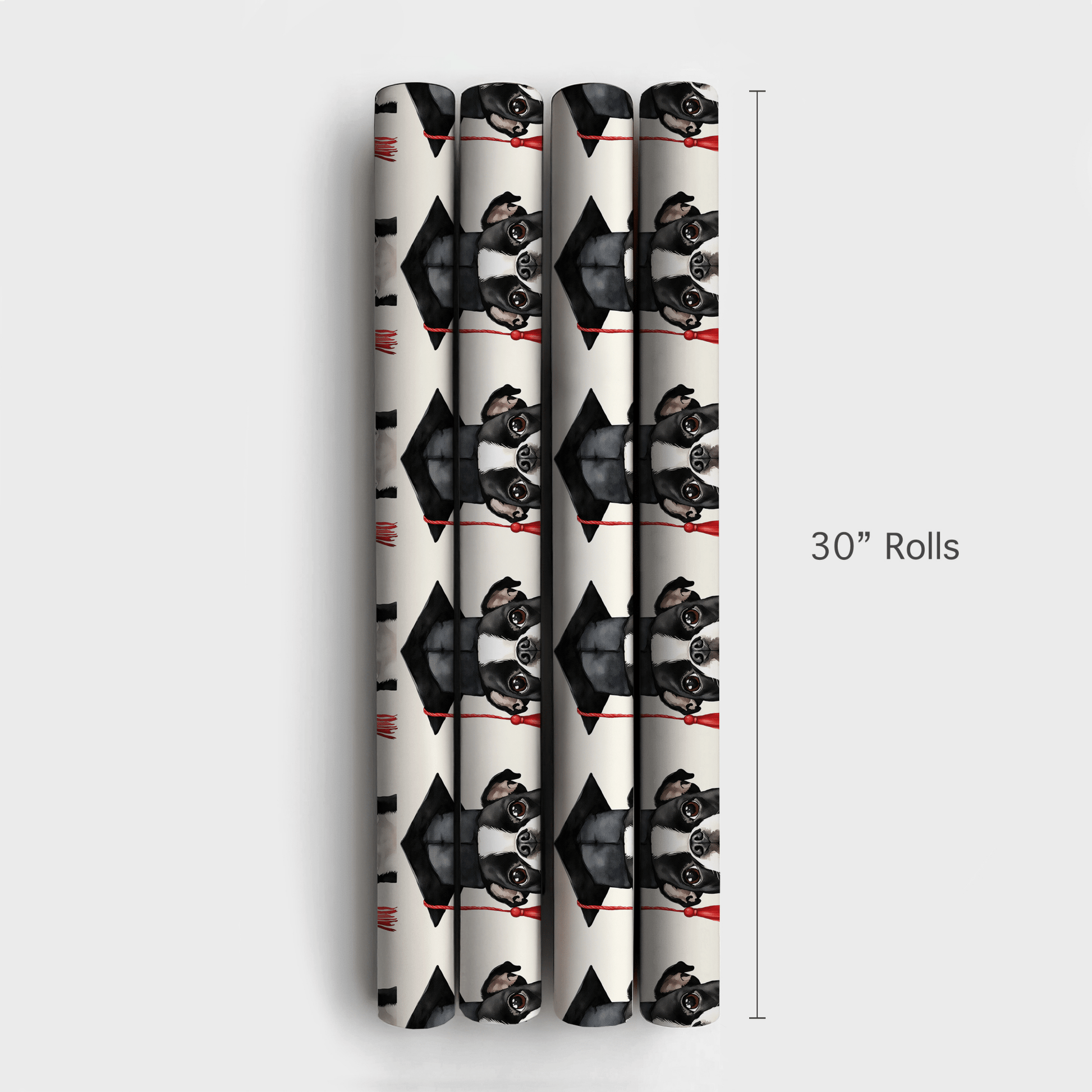 Boston Terrier Graduate - Wrapping Paper - Aspen & Arlo