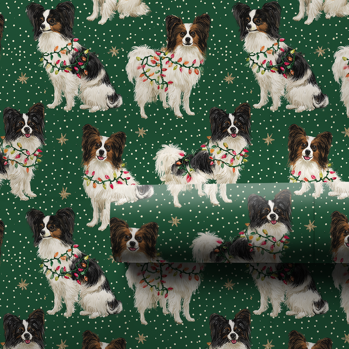 Papillon Light Parade