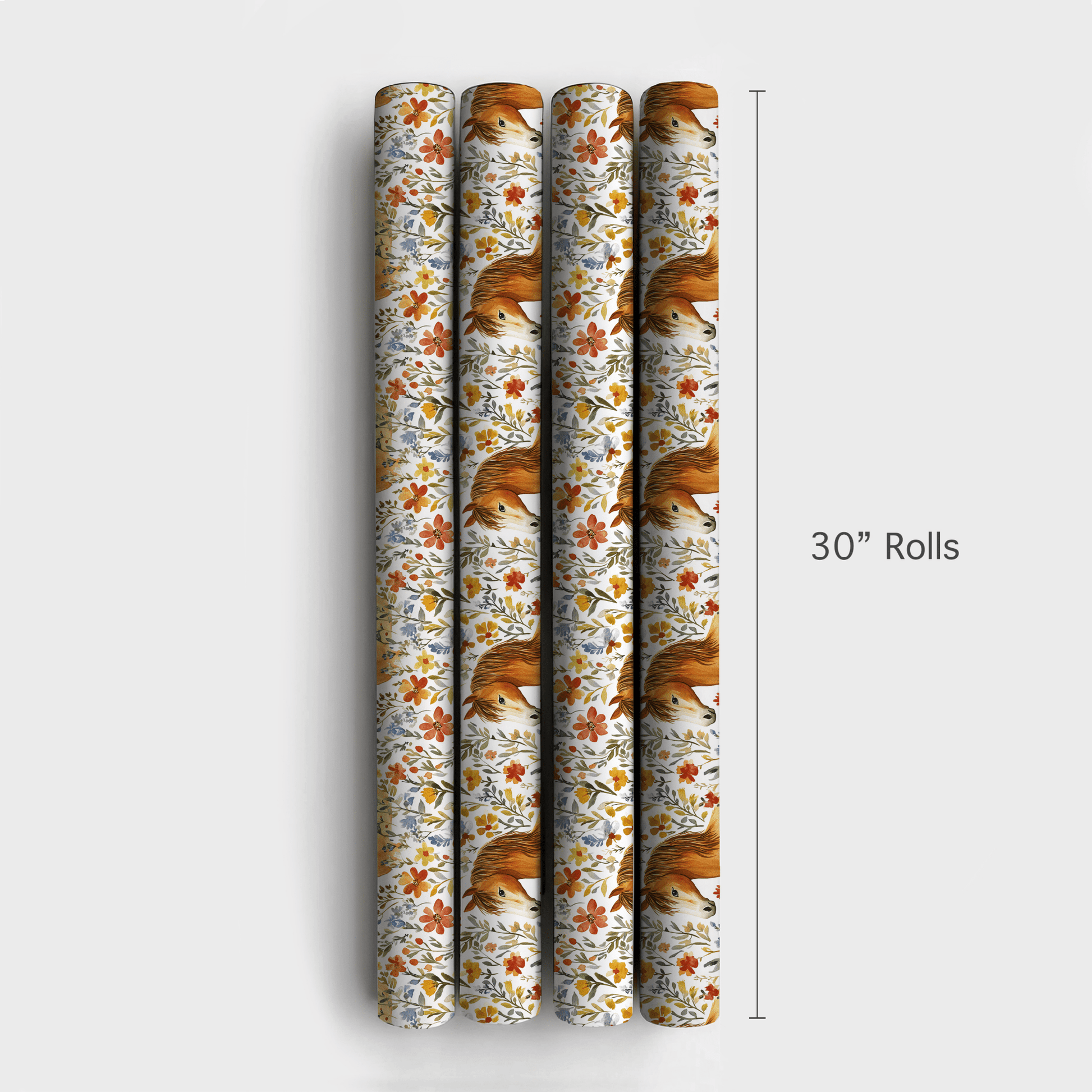 Garden Day with the Galineers Cob - Wrapping Paper - Aspen & Arlo
