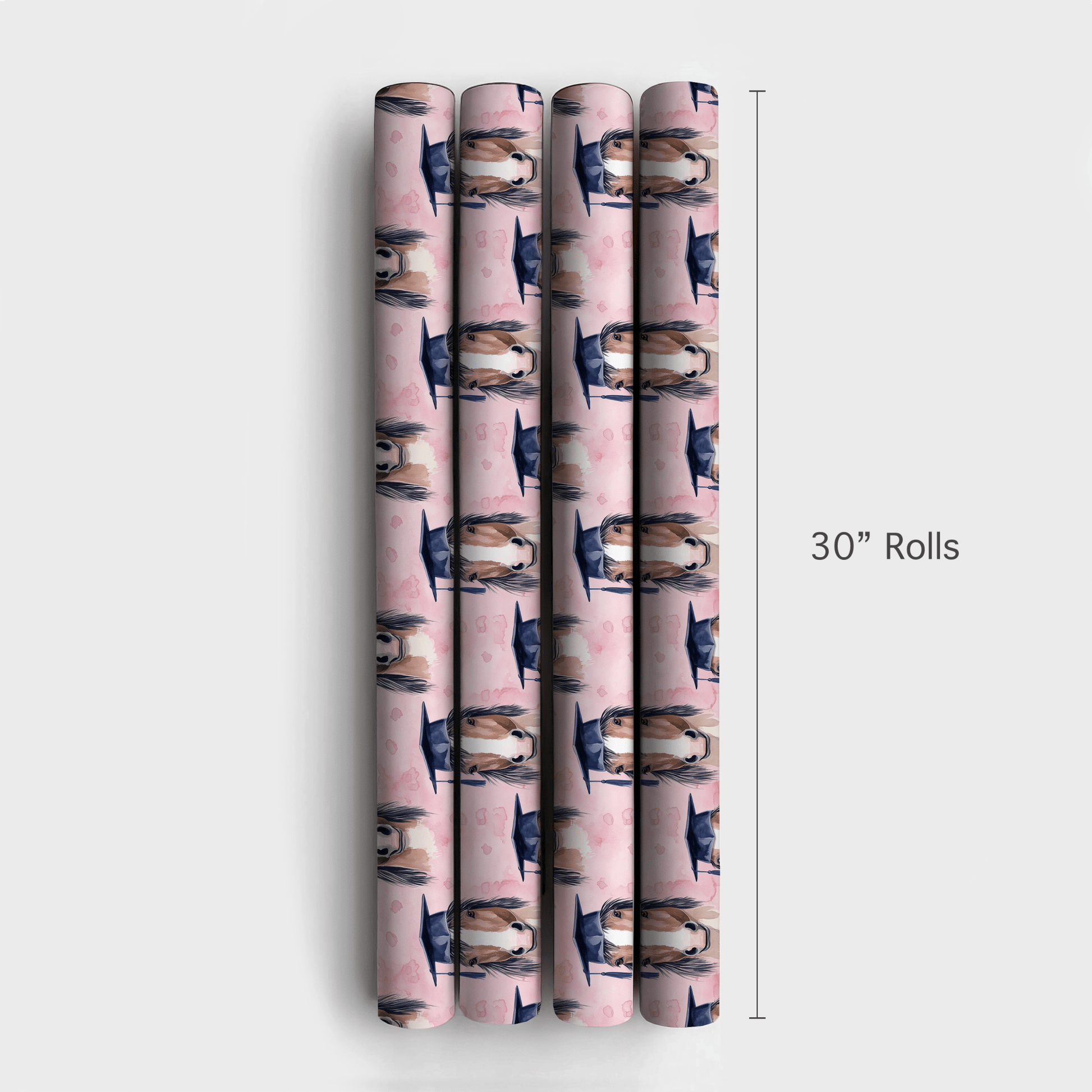 Shire Gradaute - Wrapping Paper - Aspen & Arlo