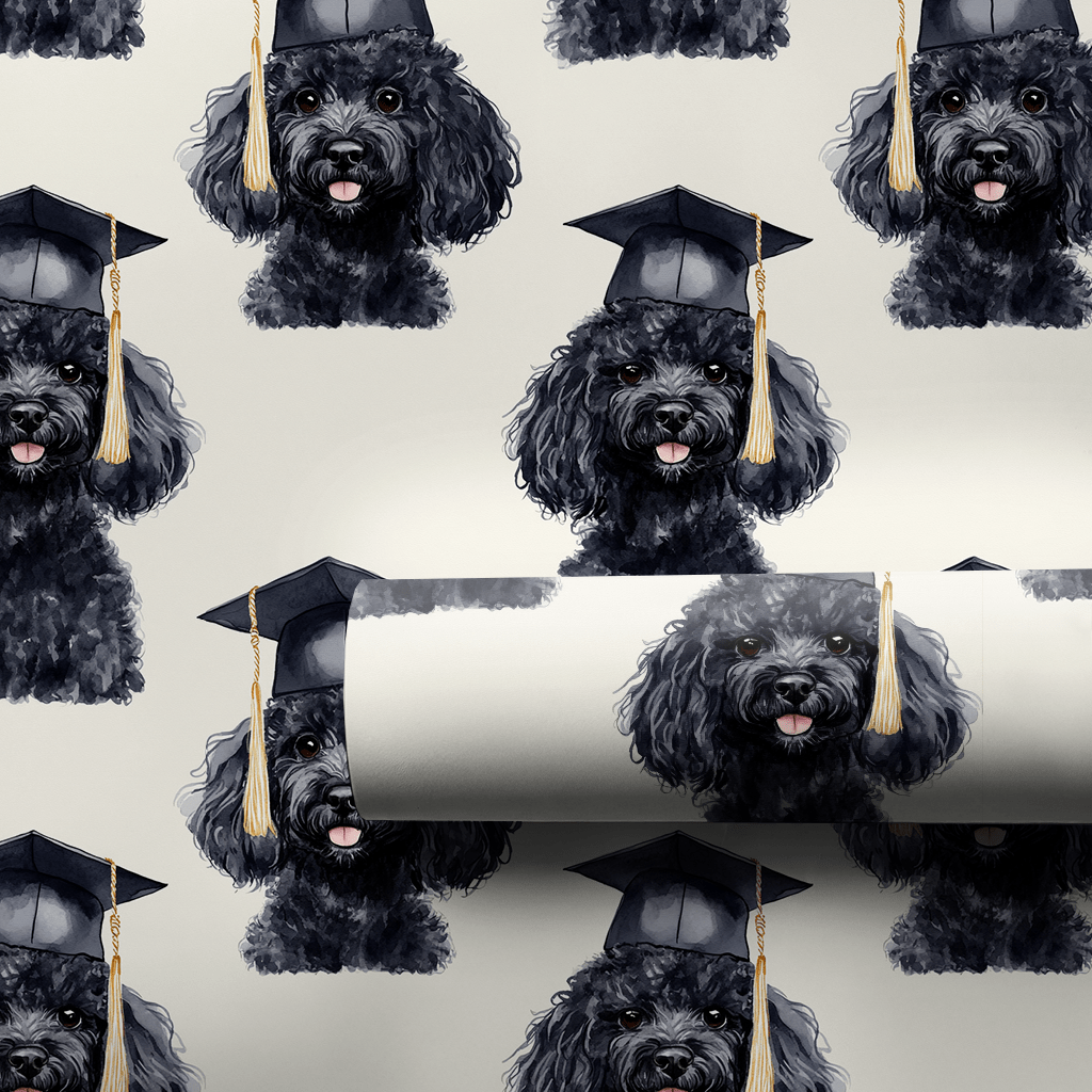 Black Poodle Graduate - Wrapping Paper - Aspen & Arlo