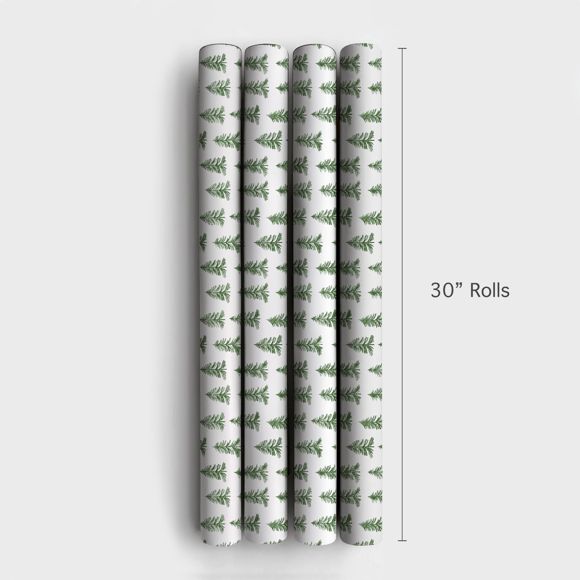 Evergreen Forest - Wrapping Paper - Aspen & Arlo