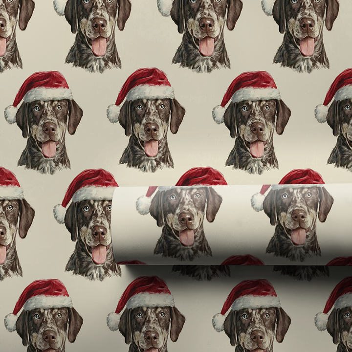 Catahoula Claus
