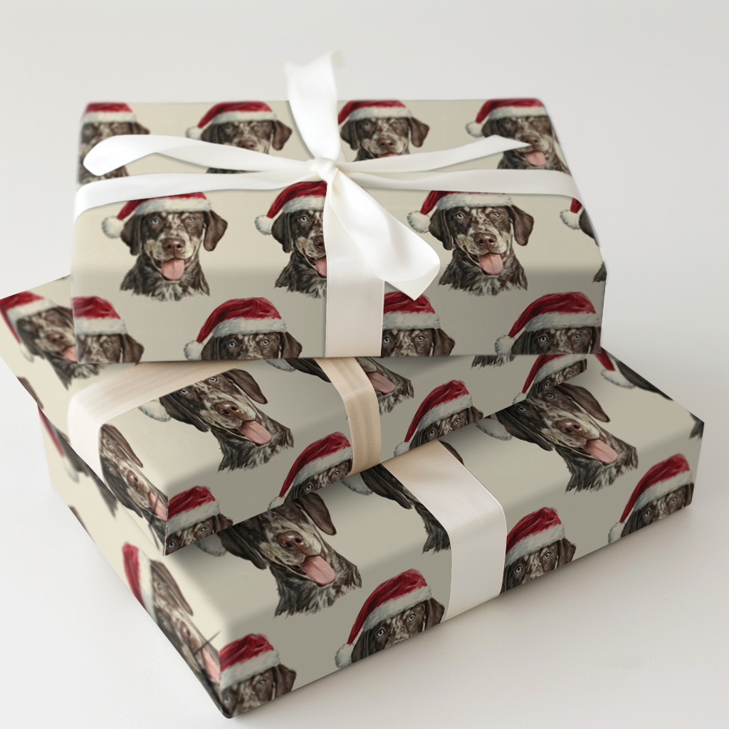 Catahoula Claus