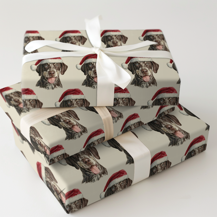 Catahoula Claus