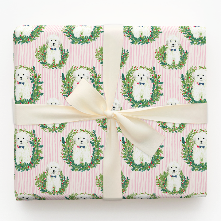 Merry and Bright Havanese