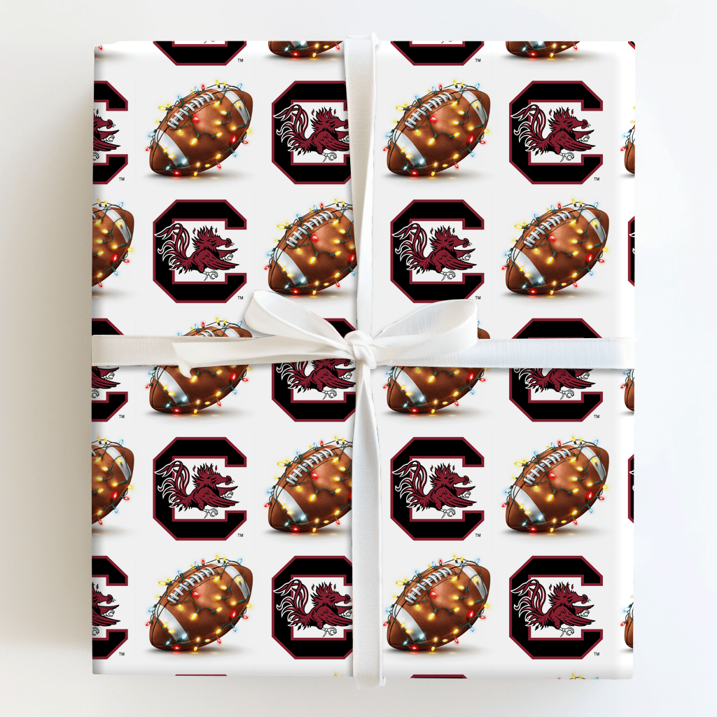 End Zone Lights Gamecocks - Wrapping Paper - Aspen & Arlo