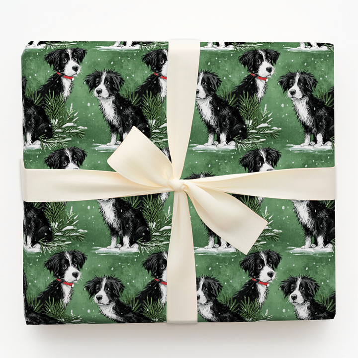 Border Collie in Green