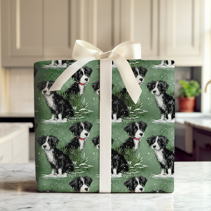 Border Collie in Green