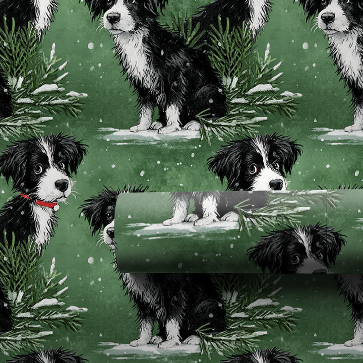 Border Collie in Green