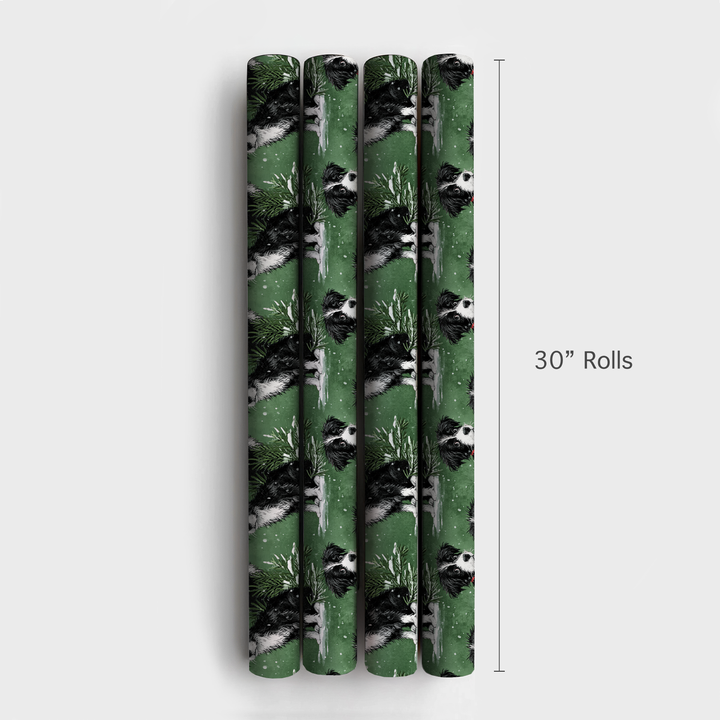 Border Collie in Green