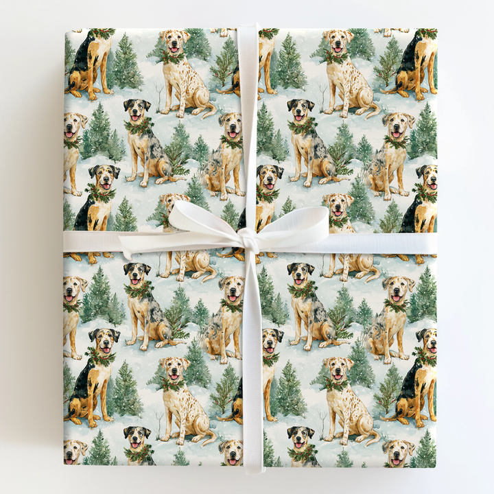 Catahoulas in the Pines
