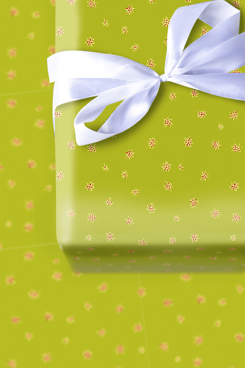Lime Glee - Wrapping Paper - Aspen & Arlo