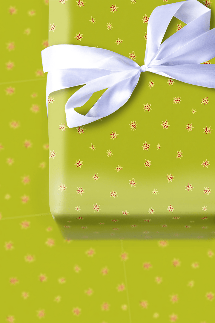 Lime Glee - Wrapping Paper - Aspen & Arlo