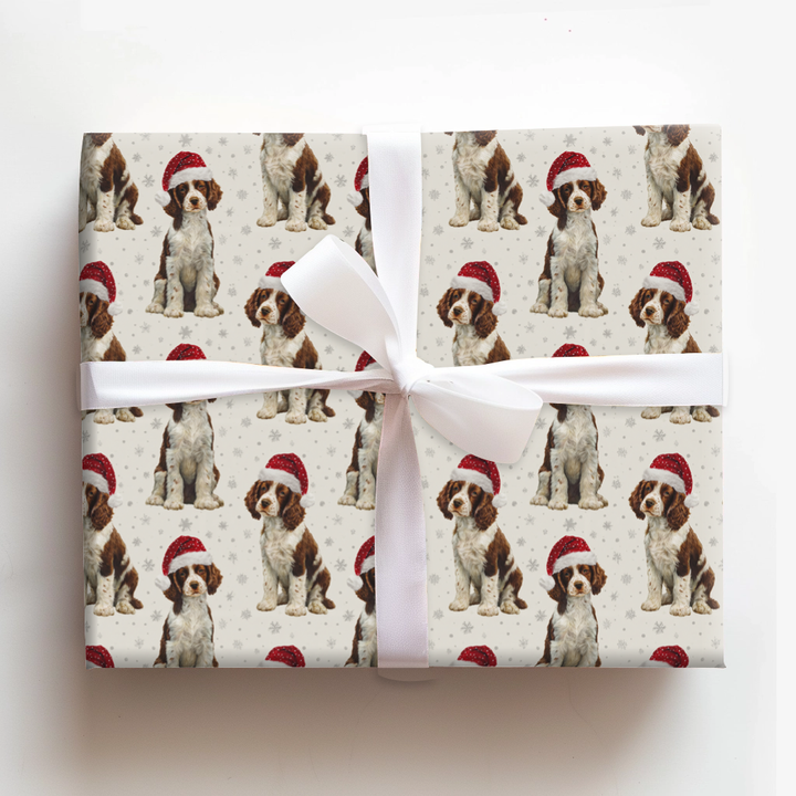 Baby Spaniel Claus