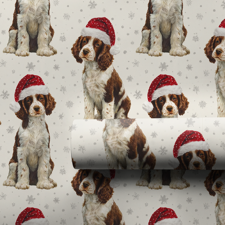 Baby Spaniel Claus