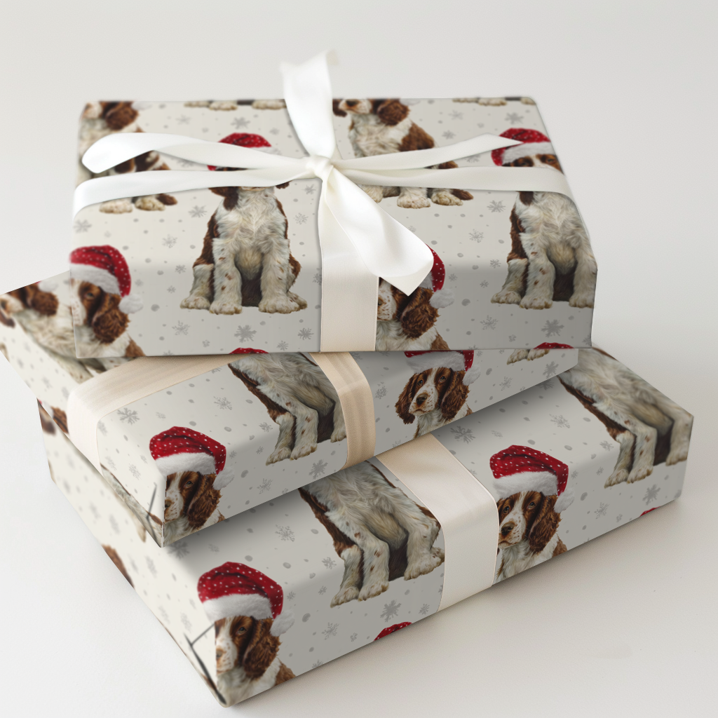 Baby Spaniel Claus