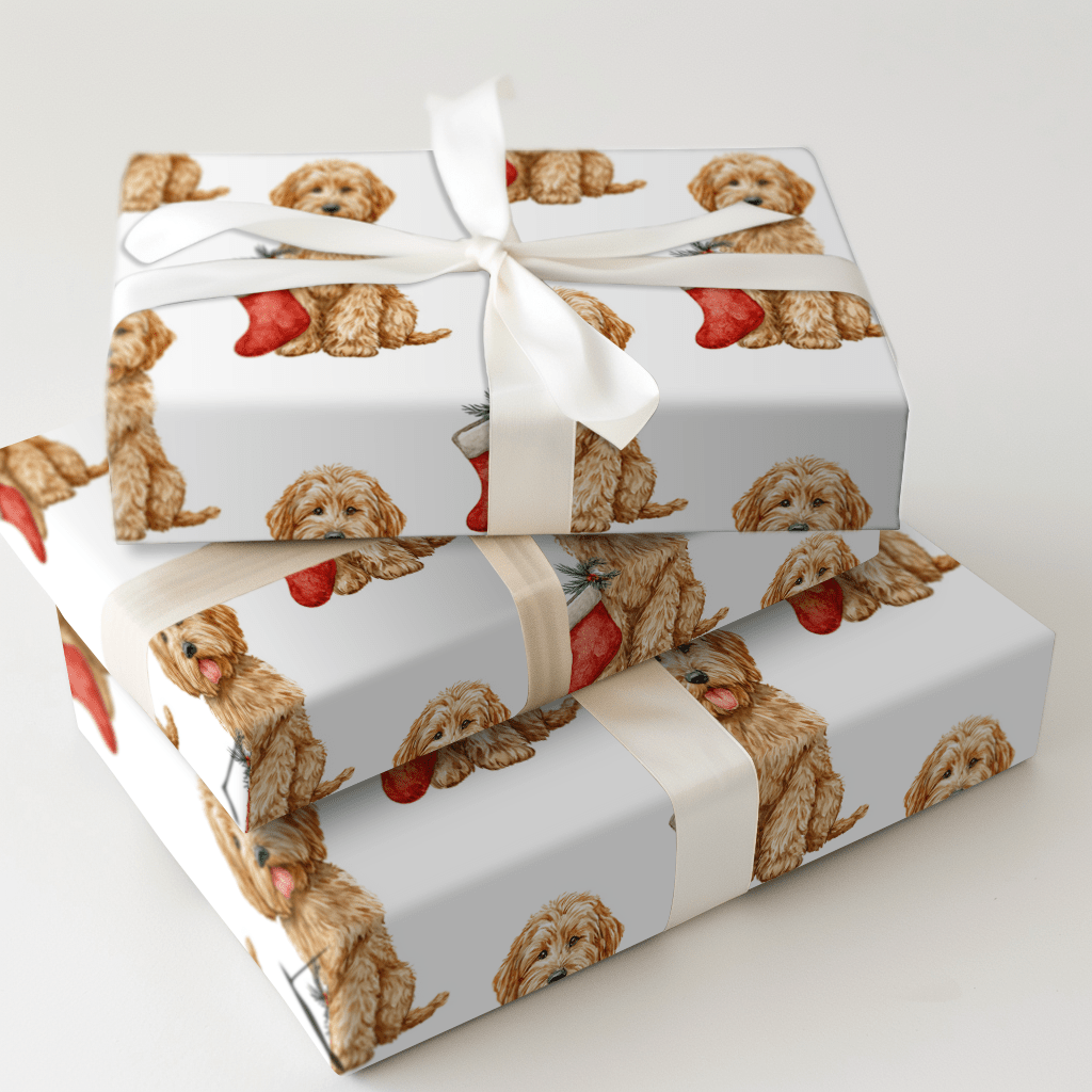 Goldie - Wrapping Paper - Aspen & Arlo