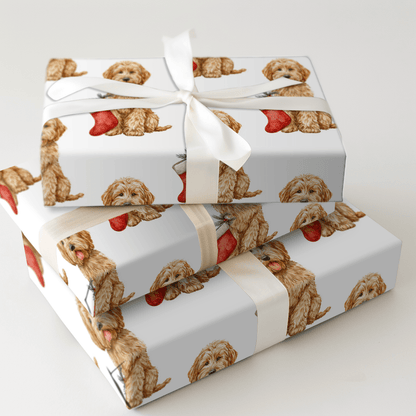 Goldie - Wrapping Paper - Aspen & Arlo