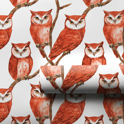 Staring Contest - Wrapping Paper - Aspen & Arlo