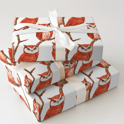 Staring Contest - Wrapping Paper - Aspen & Arlo