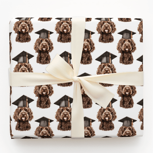 Brown Doodle Graduate - Wrapping Paper - Aspen & Arlo