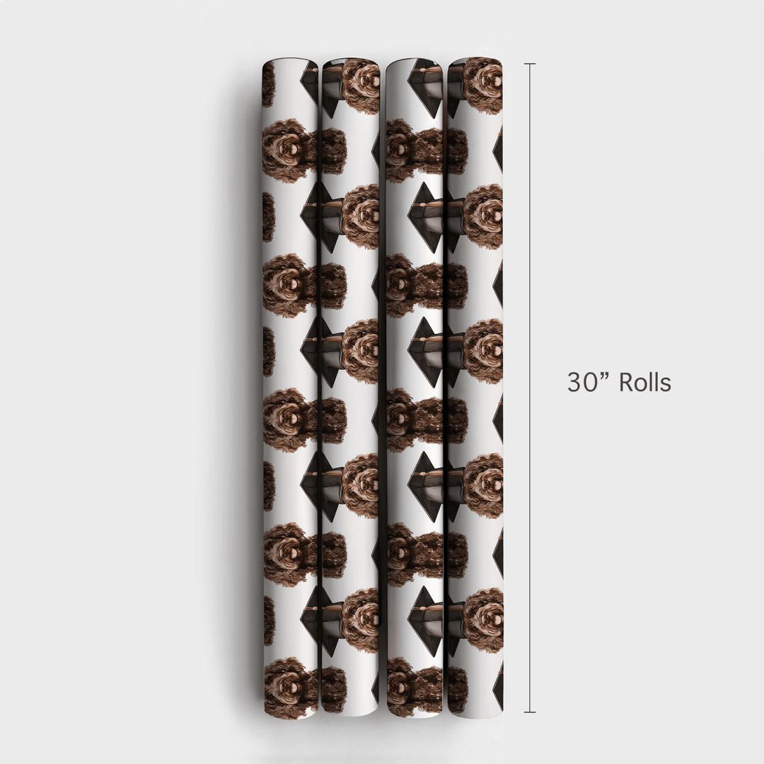Brown Doodle Graduate - Wrapping Paper - Aspen & Arlo