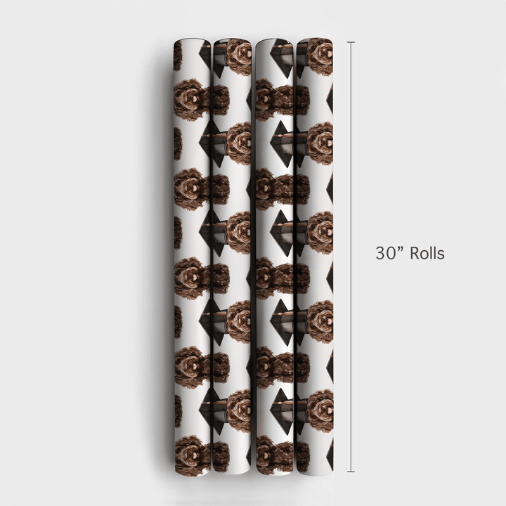 Brown Doodle Graduate - Wrapping Paper - Aspen & Arlo