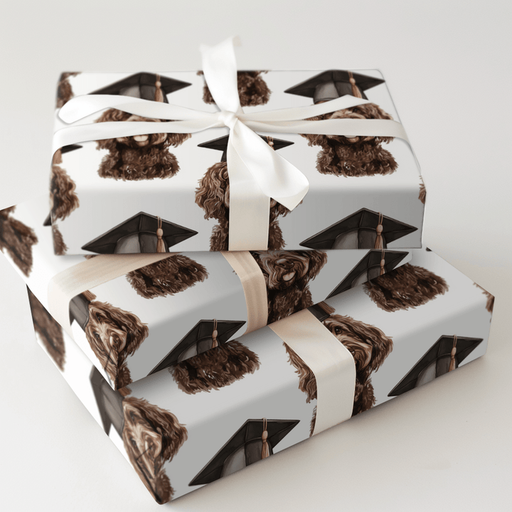 Brown Doodle Graduate - Wrapping Paper - Aspen & Arlo