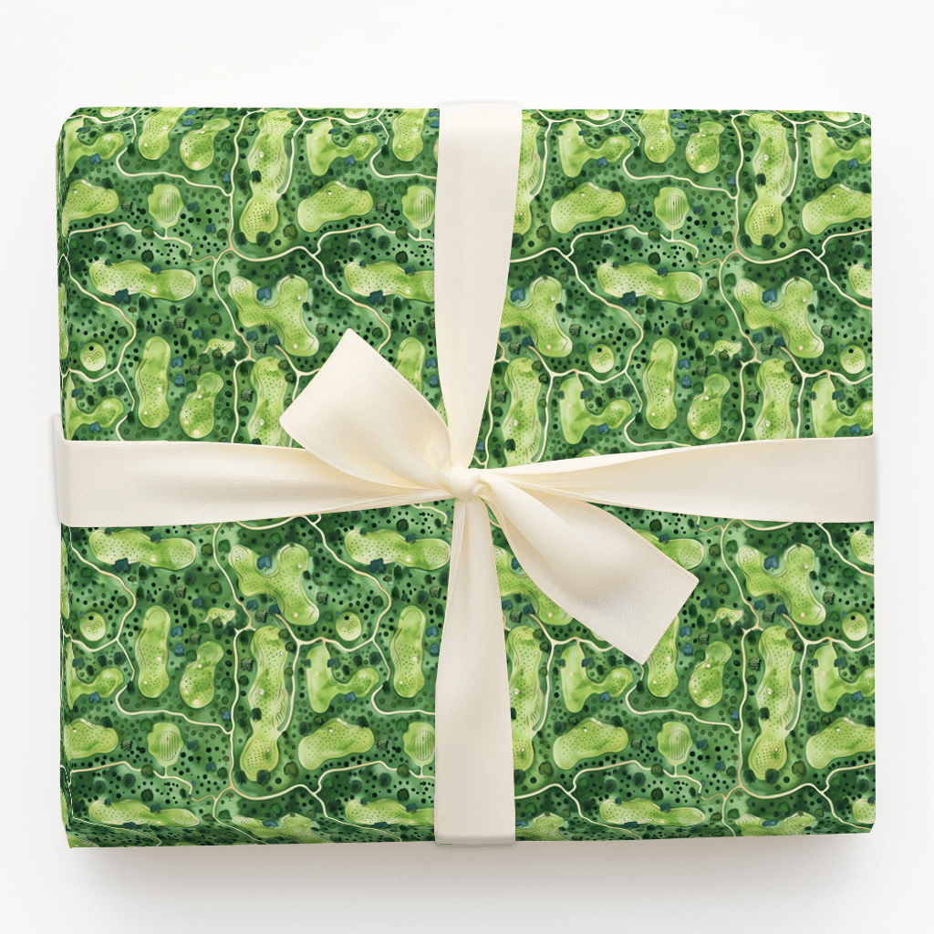 10 A.M. Tee Time - Wrapping Paper - Aspen & Arlo